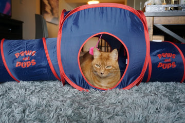 Paws and Pups Cat Home Collapsible House Cubes Tunnel Tassels (1 Cube 2 Tunnels) - Gaucho Goods